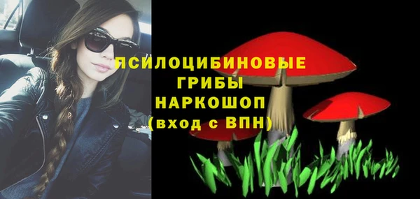 прущие грибы Алексеевка