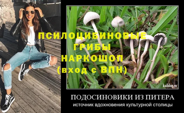 прущие грибы Алексеевка
