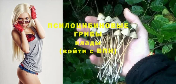 ALPHA PVP Приозерск